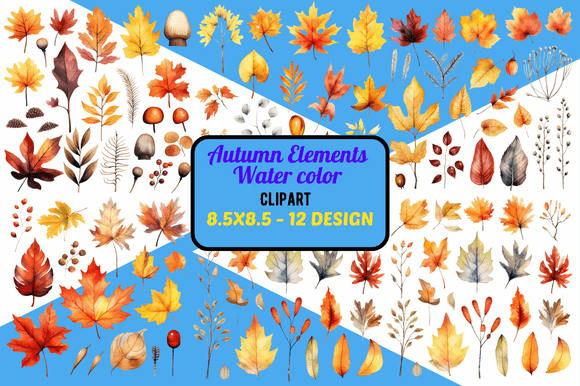 Autumn Elements Watercolor Collection: A Designer Review