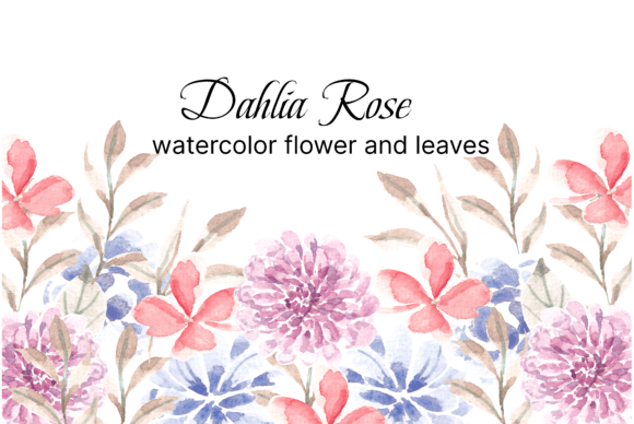 Dahlia and Rose Watercolor Flower Illustrations