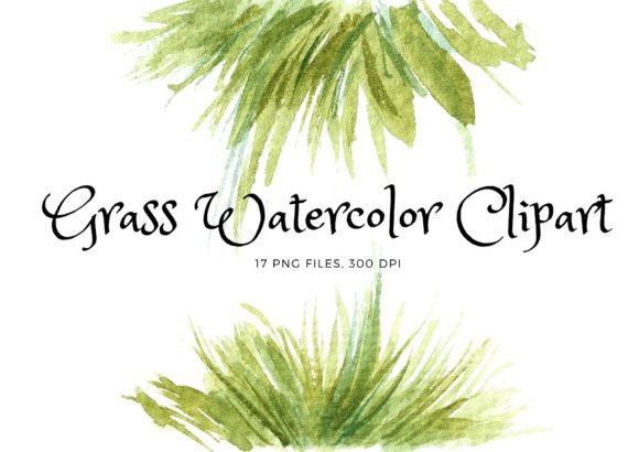 Grass Watercolor Clipart: A Designer’s Review for Branding and Creative Projects