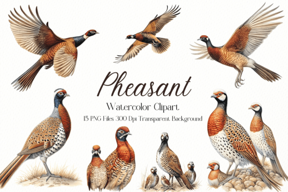 Pheasant Sublimation Watercolor Clipart: A Designer’s Real-World Evaluation