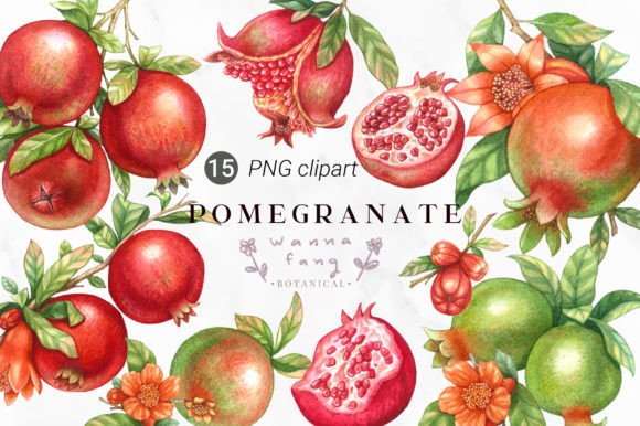 Pomegranate Fruit Watercolor Clipart Adds Artistic Flair to Blog Illustrations