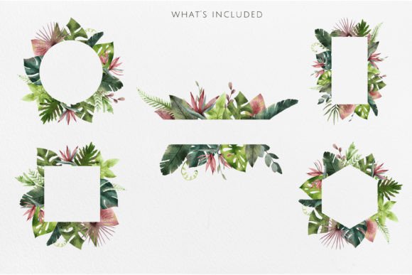 Tropical Plants Watercolor Frames: A Designer’s Review for Local Branding and Packaging