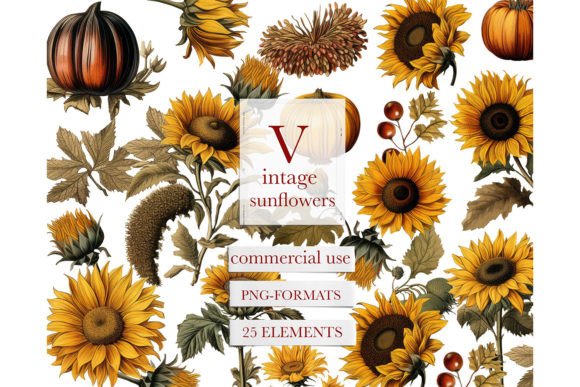 Vintage Watercolor Sunflower Clipart for Etsy & Digital Product Sellers