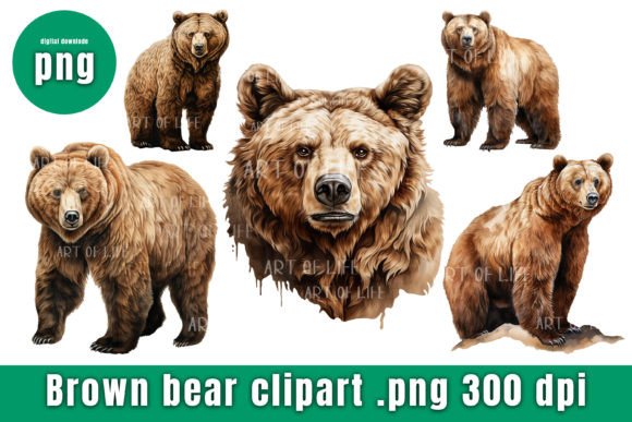 Watercolor Bear Clipart for Graphic Illustrations Review