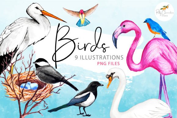 Watercolor Birds Clipart: A Designer’s Review for Real Client Projects